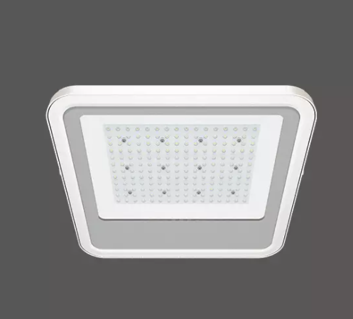 Luz LED de Dosel de la Serie Primo montado en superficie. - Imagen 2