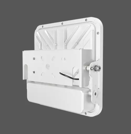 Luz LED de Dosel de la Serie Primo montado en superficie. - Imagen 3