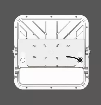 Luz LED de Dosel de la Serie Primo montado en superficie. - Imagen 4