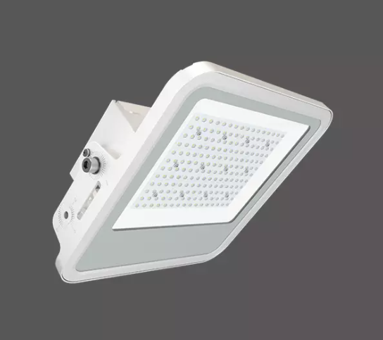 Luz LED de Dosel de la Serie Primo montado en superficie. - Imagen 5