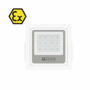 Luz LED de Dosel de la Serie Primo montado en superficie.
